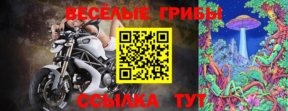 Псилоцибиновые грибы Psilocybine cubensis Ачинск