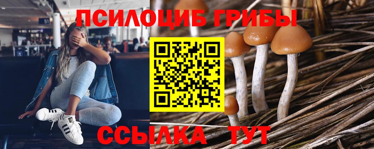 Галлюциногенные грибы Magic Shrooms  Псилоцибиновые грибы GOLDEN TEACHER  Ачинск  Вход с VPN 
